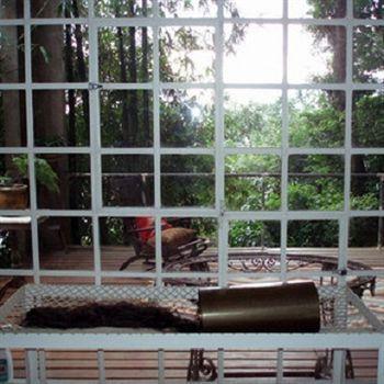 B&B Vitoria Regia Rio de Janeiro Buitenkant foto